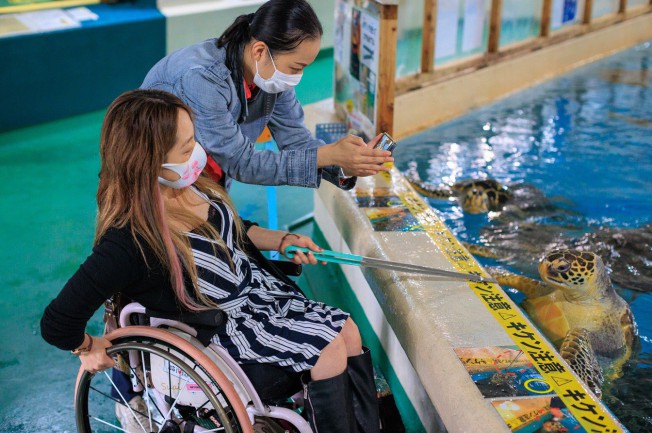 桂浜水族館で餌やり体験