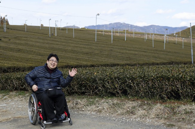 茶缶作り&ほうじ茶焙煎体験で、自分好みの土佐茶を作ってみよう!