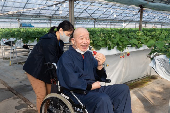 季節限定! いちご狩り体験!