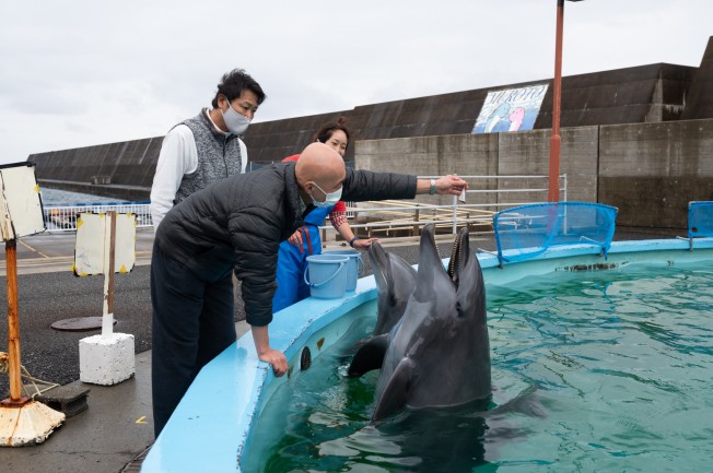イルカに餌をやってみよう!!