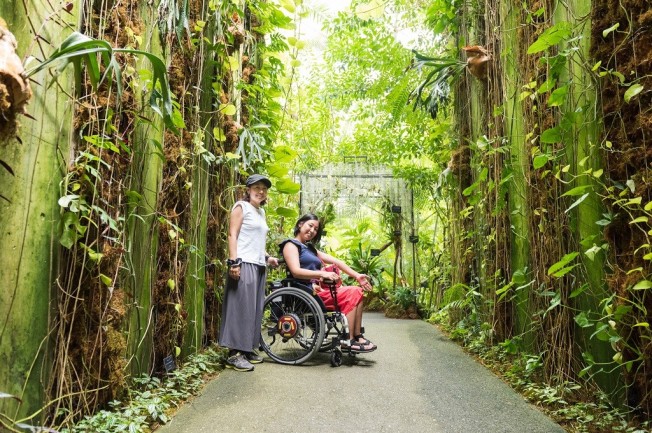 よさこい祭りと牧野富太郎ゆかりの地を巡るコース