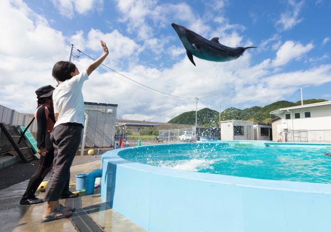 室戸ドルフィンセンター