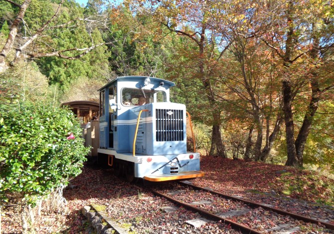 魚梁瀬森林鉄道　森の駅やなせ