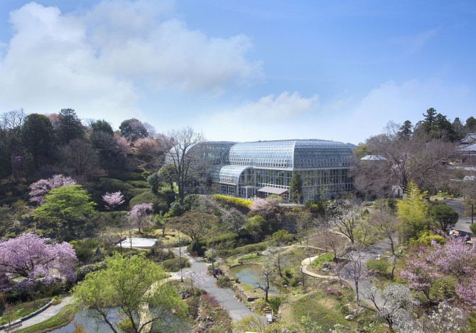 高知県立牧野植物園