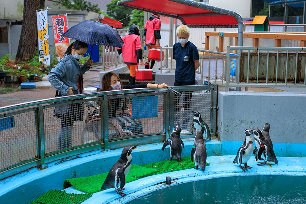 写真:桂浜水族館で餌やり体験2