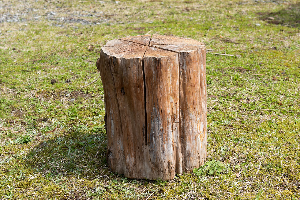 写真:冬のアウトドアを楽しむ1