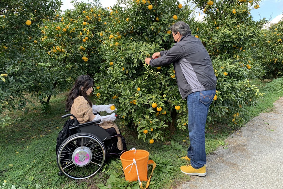 写真:ゆず狩り＆ゆずしぼり体験1