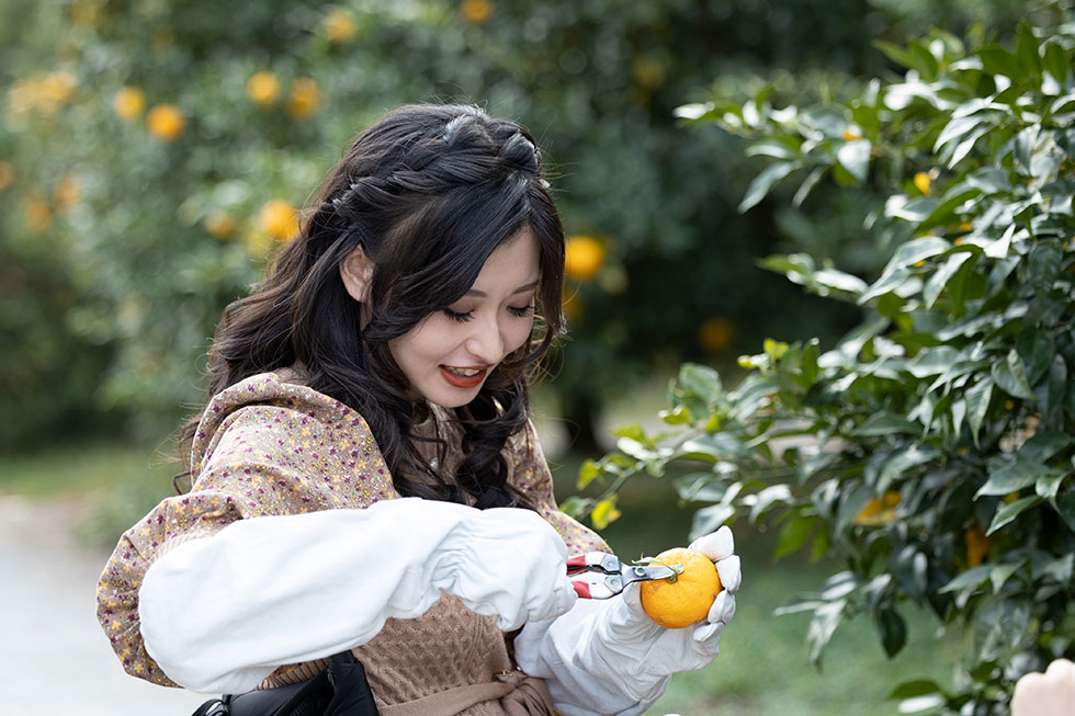 写真:ゆず狩り＆ゆずしぼり体験2