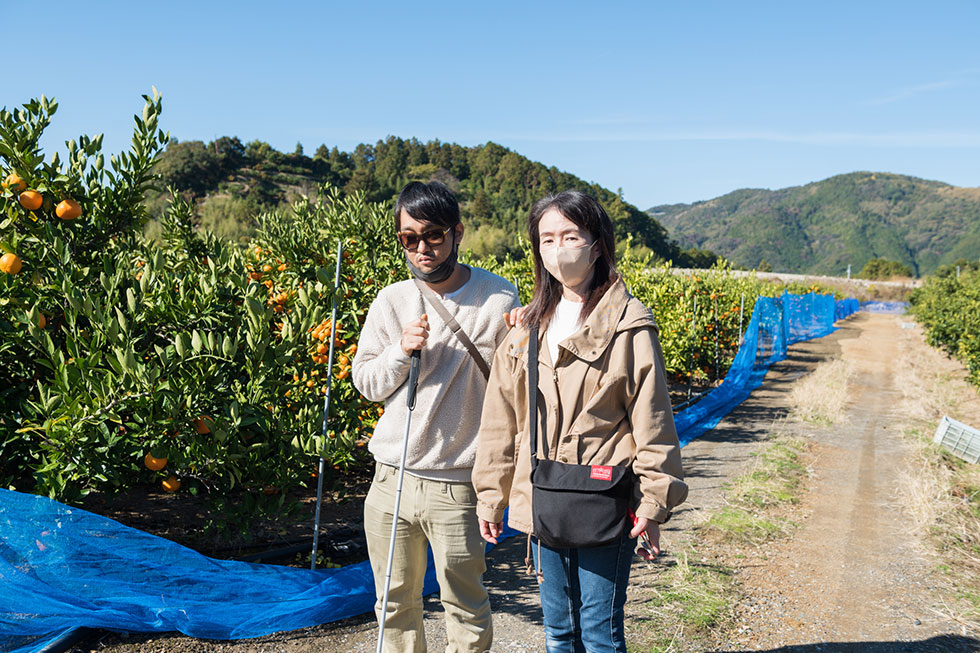 写真:山北みかん狩り体験1