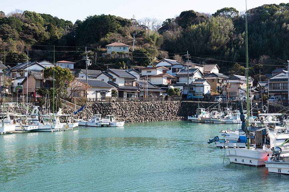 写真:海沿いを走ってタンデム自転車体験！2