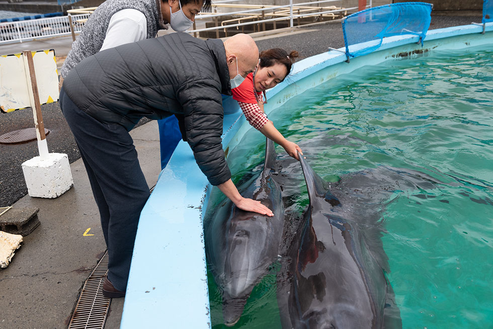 写真:イルカに餌をやってみよう!!1