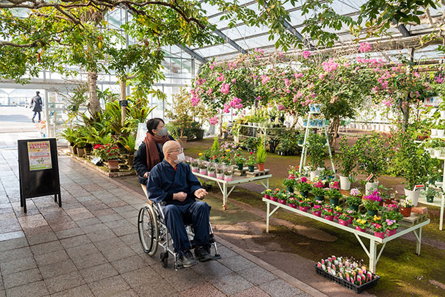 写真:西島園芸団地1
