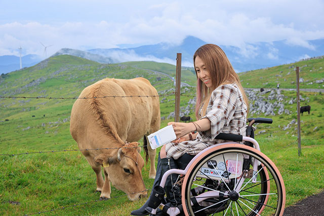 写真:四国カルスト天狗高原2