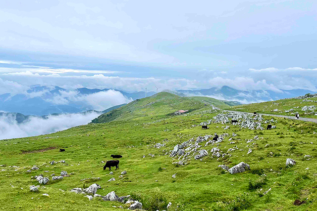 写真:四国カルスト天狗高原3