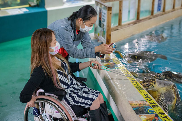 写真:桂浜水族館1