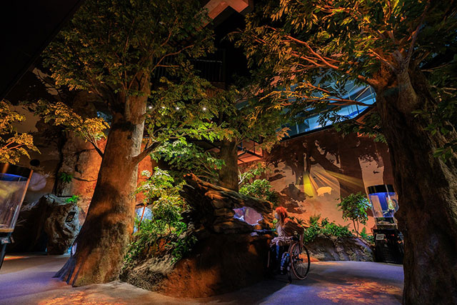 写真:高知県立足摺海洋館SATOUMI1