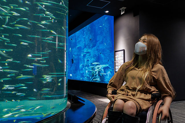 写真:高知県立足摺海洋館SATOUMI2