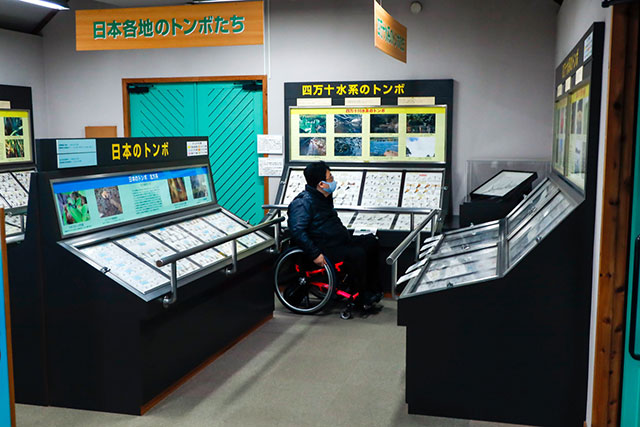 写真:四万十川学遊館あきついお3