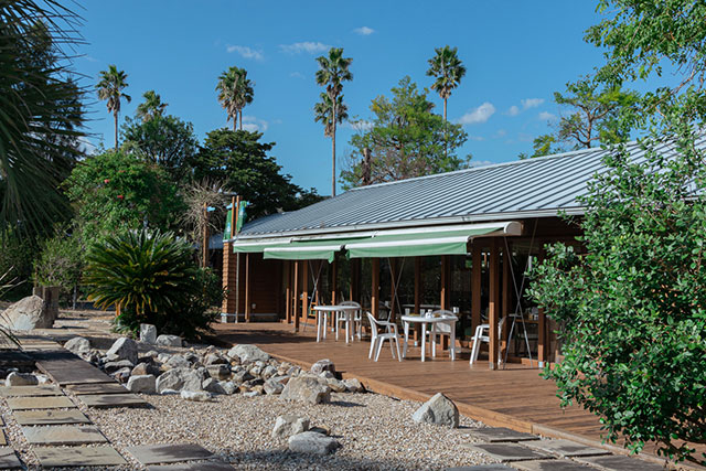 写真:ヤ・シィパーク3