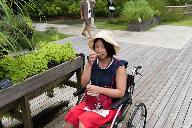 写真:高知県立牧野植物園1