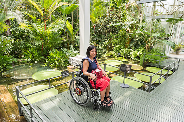 写真:高知県立牧野植物園2