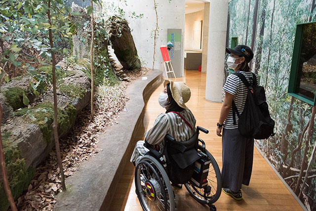 写真:横倉山自然の森博物館2