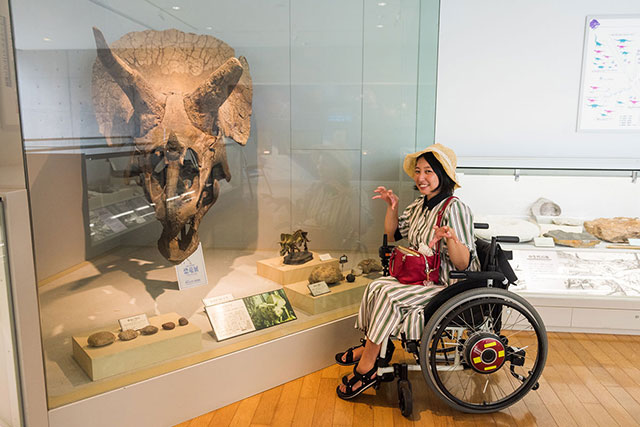 写真:横倉山自然の森博物館3