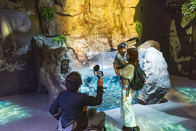 写真:高知県立足摺海洋館 SATOUMI1