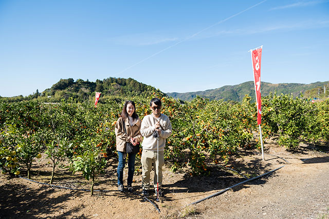 写真:土佐の高知のくだもの畑1