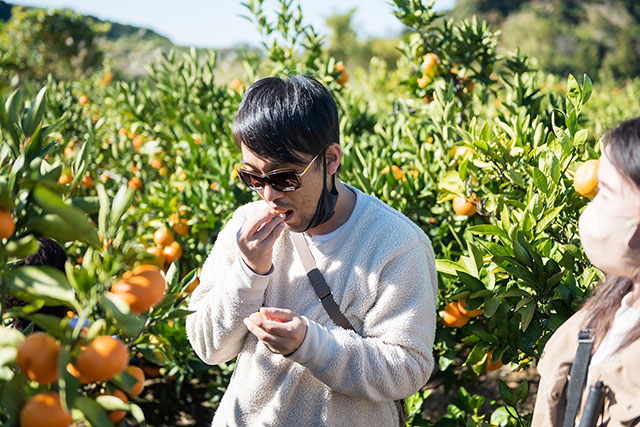 写真:土佐の高知のくだもの畑3
