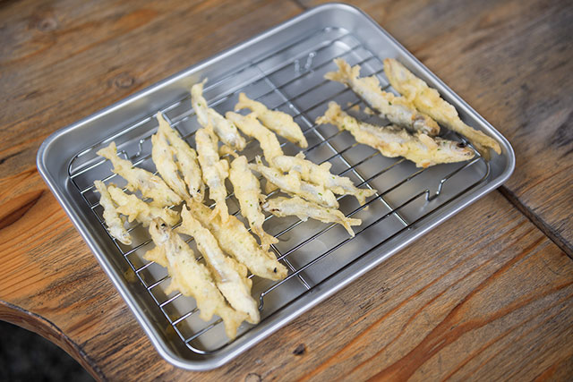 写真:さめうらワカサギ釣り3