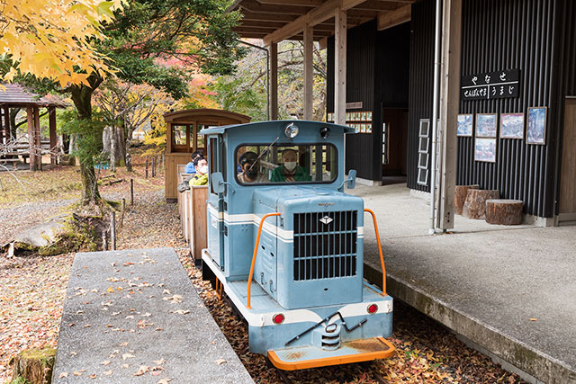 写真:魚梁瀬森林鉄道3