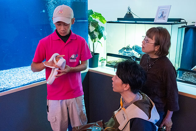 写真:桂浜水族館2