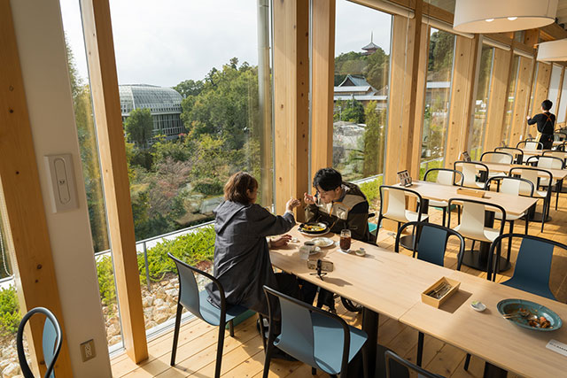 写真:高知県立牧野植物園3