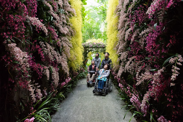 写真:高知県立牧野植物園3