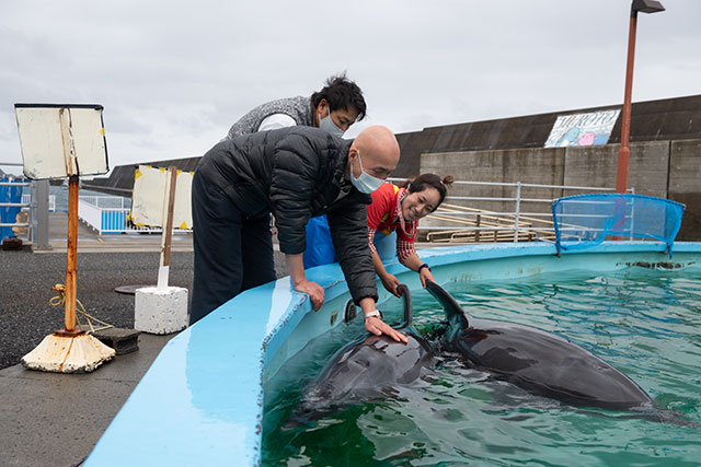 写真:室戸ドルフィンセンター1