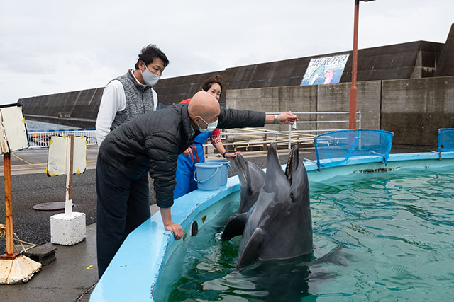 写真:室戸ドルフィンセンター2