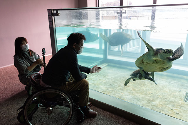 写真:高知県立足摺海洋館SATOUMI1