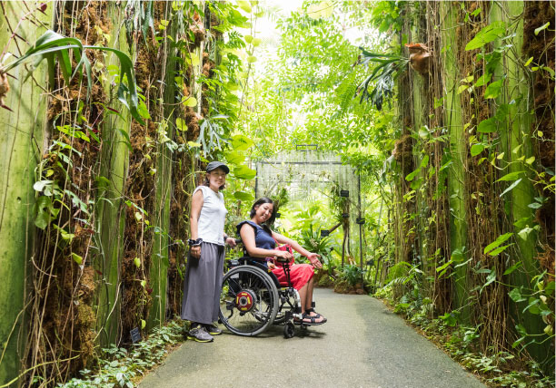 ねむりさくらさん